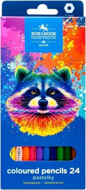 Pastelli esagonali 24 pz Procione