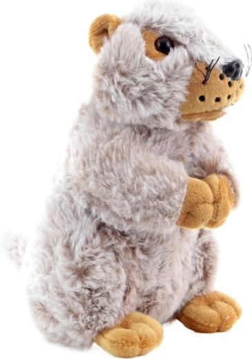 Dimensione ideale per le mani dei bambini