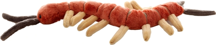 Dimensioni ideali per casa e viaggio