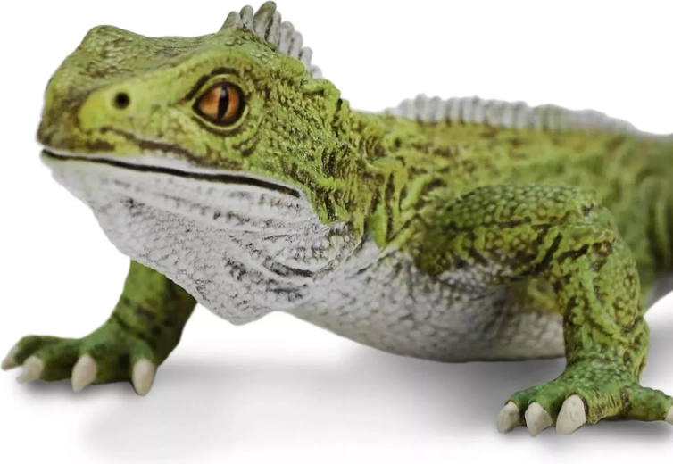 Riproduzione fedele della tuatara fino all’ultimo dettaglio