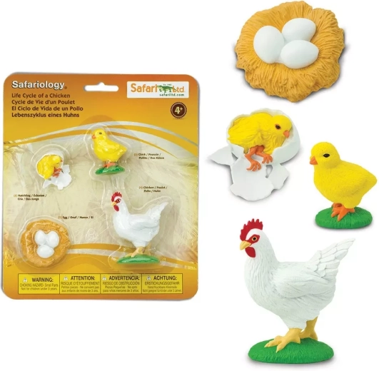 Safari Ltd. ciclo di vita degli animali - pollo