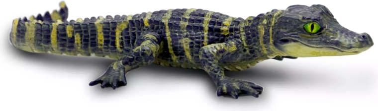 Materiale sicuro e atossico