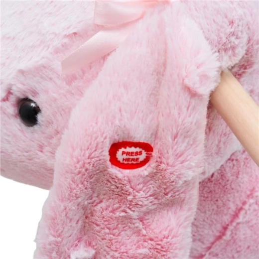 Pulsante musicale per ancora più divertimento