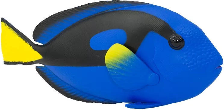 Colori realistici e dettagli del pesce chirurgo