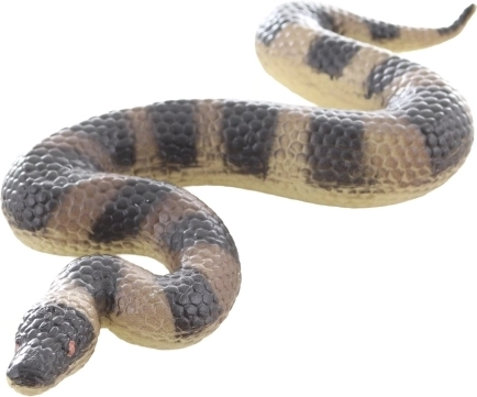 Dimensioni compatte per piccoli esploratori