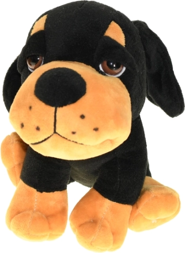 Più varianti di colore