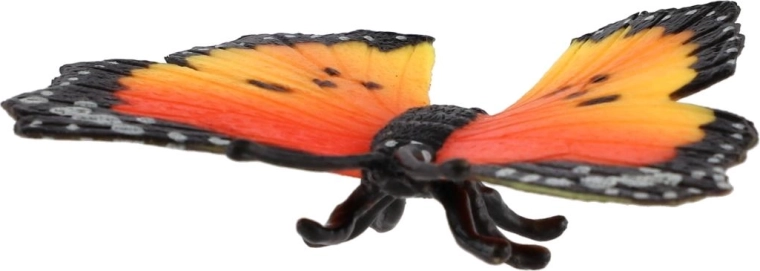 Gioco e scoperta della natura