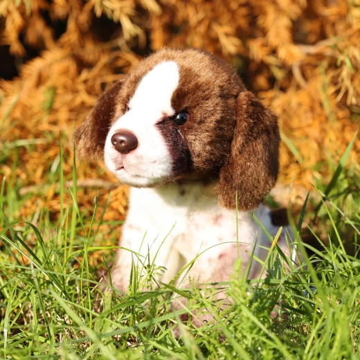 Peluche morbido di alta qualità