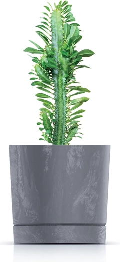 Ideale per succulente, erbe aromatiche e piante piccole