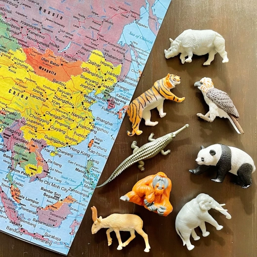 Realizzazione sicura e atossica