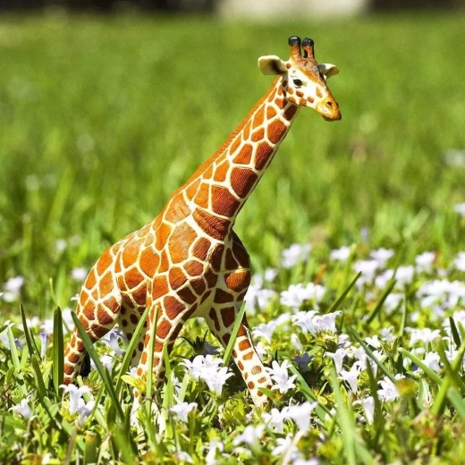 Imparare giocando sugli animali africani