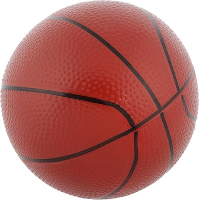 Pallone da basket e pompetta inclusi