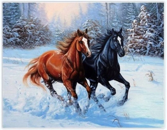 Norimpex pittura con diamanti Cavalli al galoppo nella neve 30 × 40 cm