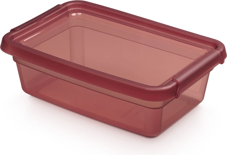 Basestore box contenitore con coperchio e clip 3 l, 19 × 28 × 9 cm, Rhubarb