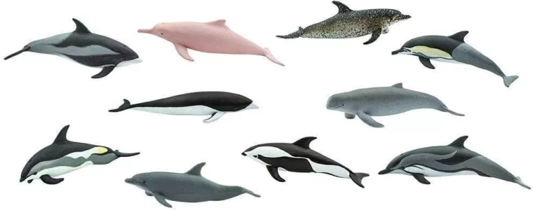 10 specie marine in un’unica confezione