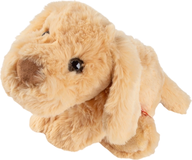 Realizzazione sicura adatta ai bambini piccoli