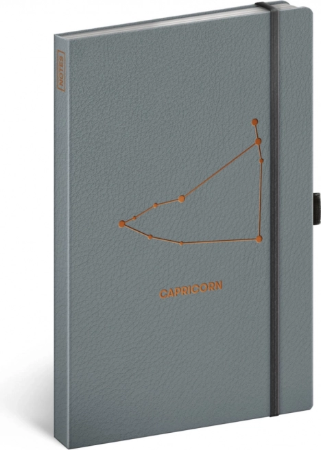 Notes NOTIQUE Zodiaco Capricorno, a righe 13 × 21 cm