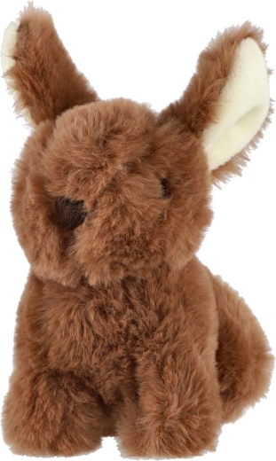 Aspetto tenero con lunghe orecchie