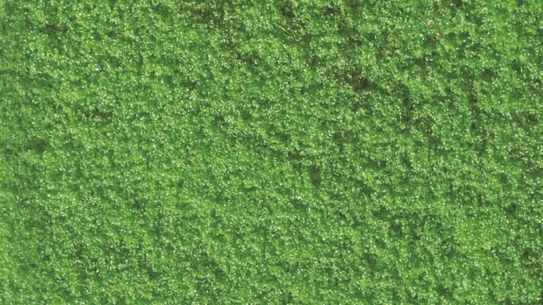 Fiocchi di spugna da spargere NOCH verde chiaro