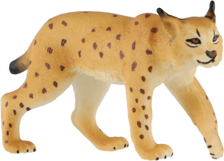 Caratteristiche tipiche della lince
