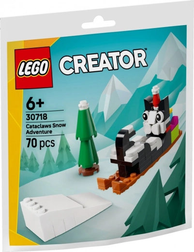 LEGO Avventura sulla neve con il gatto Vločka - 1 pezzo