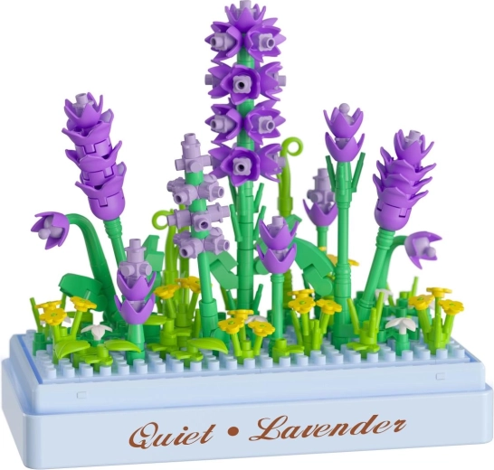 Lavanda che non appassisce mai
