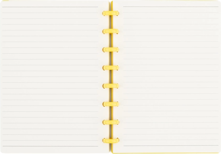 Scrittura confortevole su 80 fogli a righe