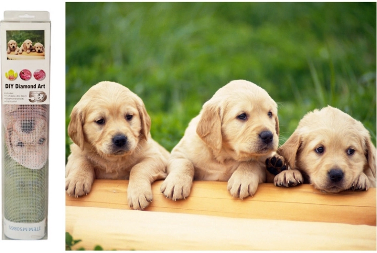 Mosaico di diamanti Cagnolini labrador - 1 pezzo