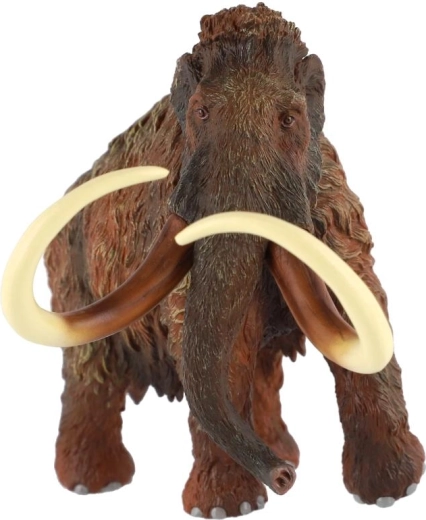 Struttura in plastica resistente