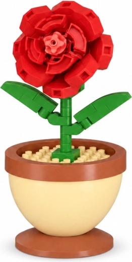 Rosa rossa dettagliata