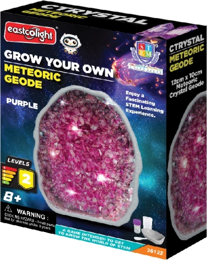 Geode meteorica per coltivare cristalli viola