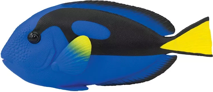 Safari Ltd. figurina pesce chirurgo variopinto - 1 pezzo