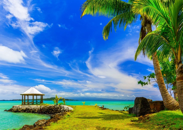 Enjoy puzzle Brezza dell’isola 1000 pezzi