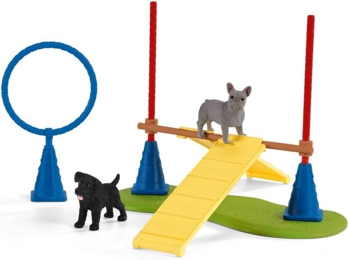 Agility per cani all