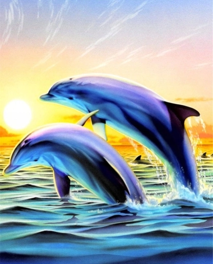 Norimpex Dipingere con i numeri Delfini che saltano 40 × 50 cm