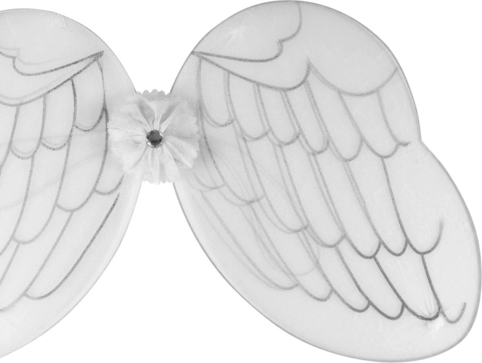 Decorazioni delicate sulle ali
