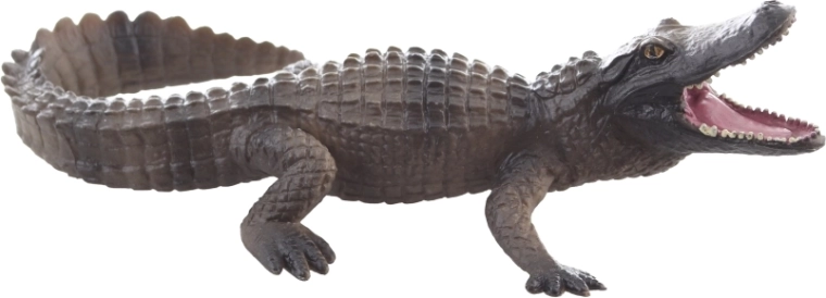 Plastica resistente per il gioco quotidiano