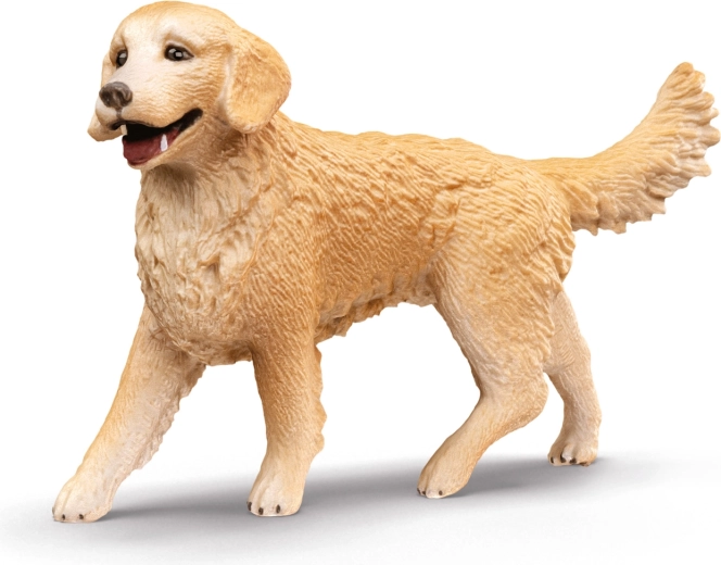 Figura dettagliata di golden retriever