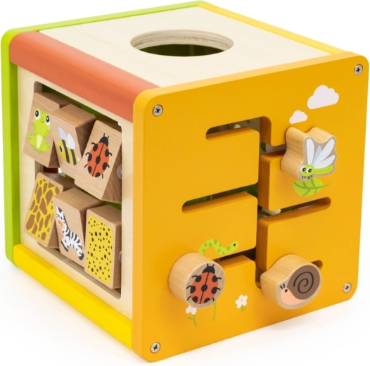 Cinque attività di gioco in un unico cubo