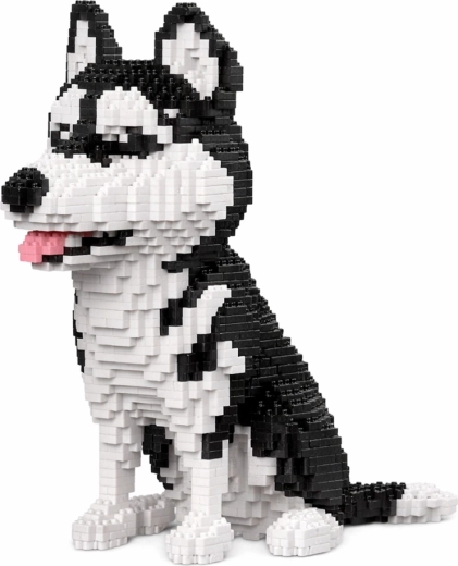Aspetto 3D realistico dell’husky