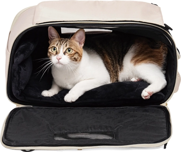 Comfort e sicurezza per il tuo pet in viaggio
