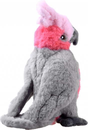 Dettagli realistici che colpiscono