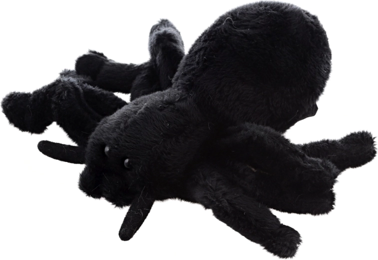 Dimensioni compatte 14 cm