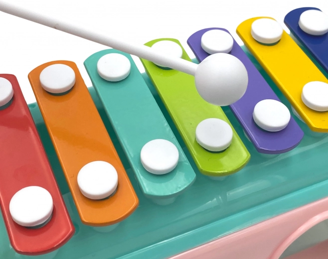 Xilofono colorato per piccoli musicisti