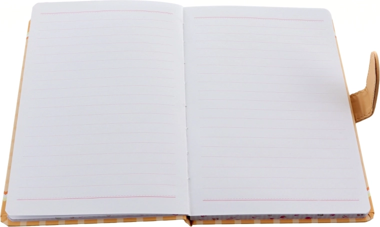 Pagine a righe