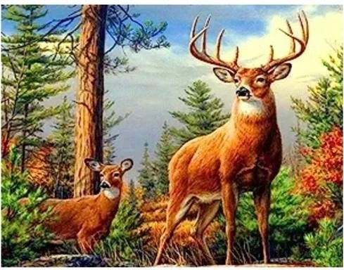 Norimpex pittura con diamanti Cervo in montagna 30 × 40 cm
