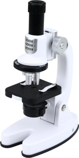 Messa a fuoco precisa e struttura stabile