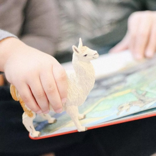 Ideale per gioco, apprendimento e collezione