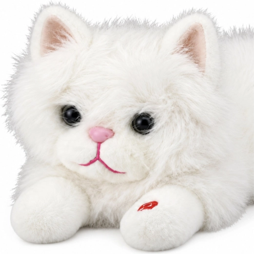 Aspetto adorabile del gatto bianco