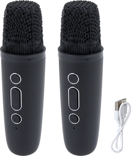 Duetti senza compromessi: due microfoni wireless